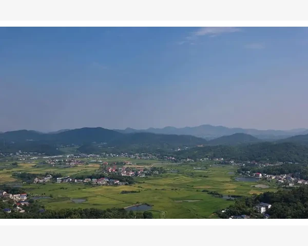 B2B订货软件企业采购数字化转型利器